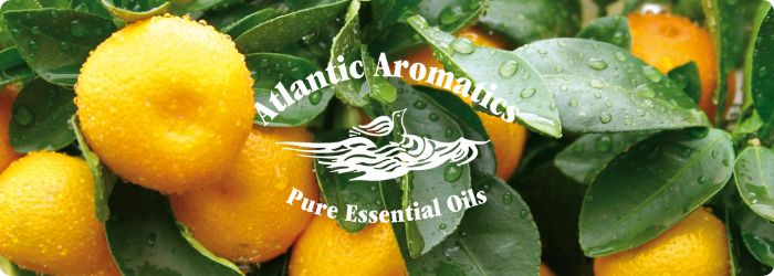 アトランティックアロマティクス（Atlantic Aromatics）社